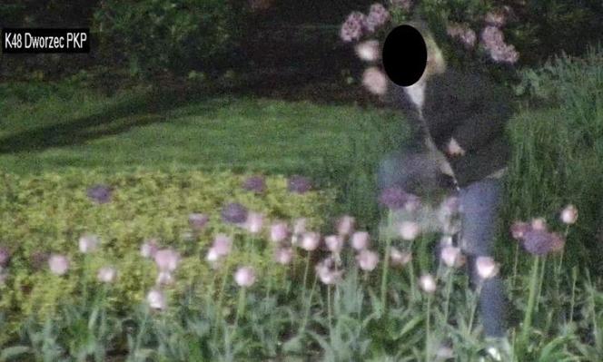 Nocne imprezowanie w Rybniku. Pijana młodzież wspinała się na pomnik, zrywała tulipany i... sikała na budynki [ZDJĘCIA]