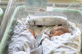 Trojaczki z Zabrza [ZDJĘCIA]