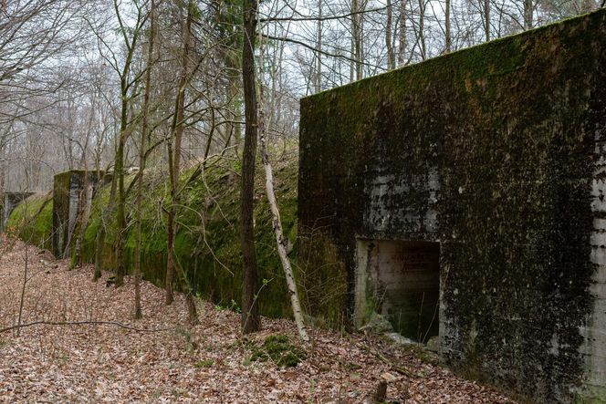  AI wskazała najgorsze miasto Opolszczyzny. Dramat i marazm, z którego nie ma wyjścia