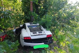 Luksusowe Lamborghini Gallardo rozbite na drzewie