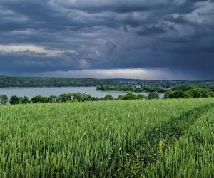 Groźne wichury na Mazurach! Interwencje ratowników