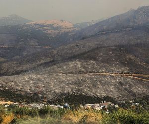 Podpalił Turcję, bo chciał iść do więzienia! Podpalacz kurortów złapany