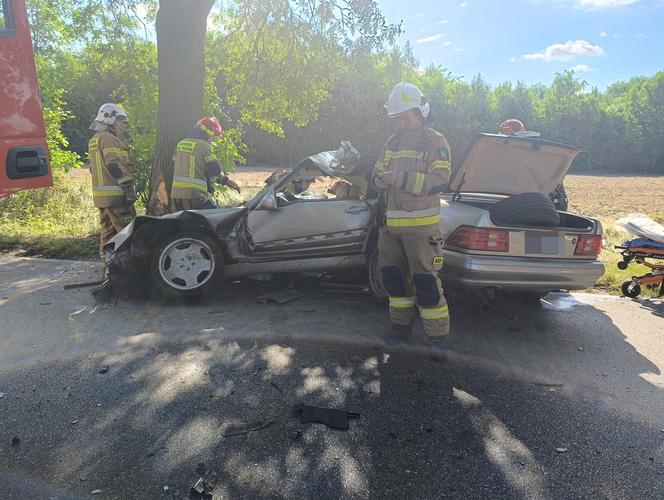 Wypadek pod Pabianicami. Mercedes rozpadł się na pół po uderzeniu w drzewo [ZDJĘCIA].