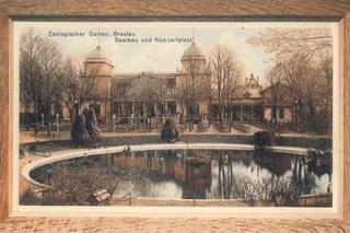 Niezwykłe pocztówki z wrocławskiego zoo. Pamiętają czasy Breslau! [ZDJĘCIA] 