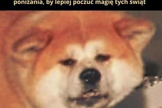 Najlepsze memy o żonie. Te obrazki rozbawią nie tylko mężczyzn do łez