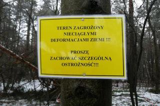 Powiększyło się zapadlisko przy ogródkach działkowych w Trzebini