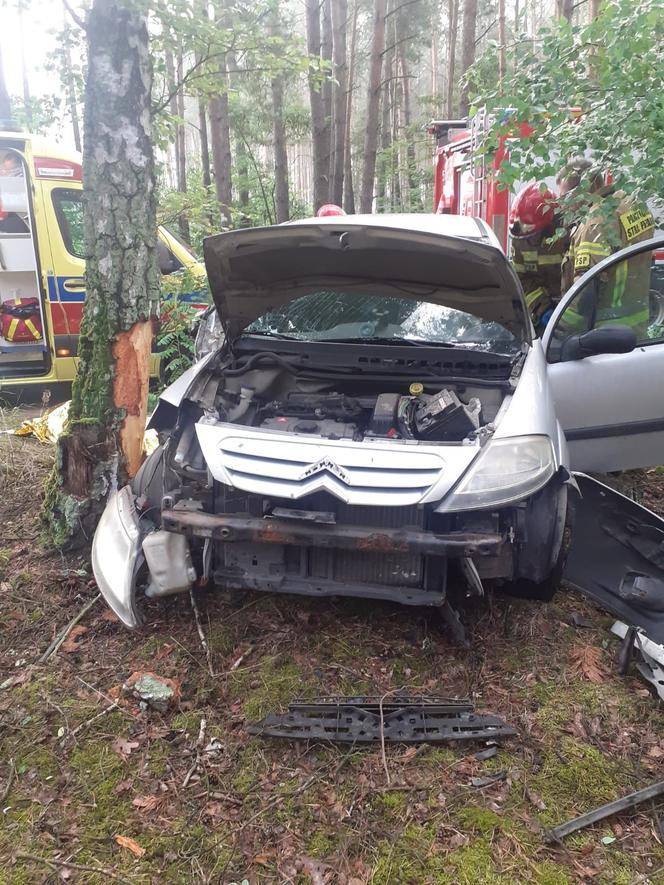 Tragedia w Wielkopolsce. Samochód rozbił się na drzewie 