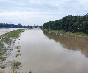 Fala powodziowa we Wrocławiu. Pod wodą są już beach bary i drogi 