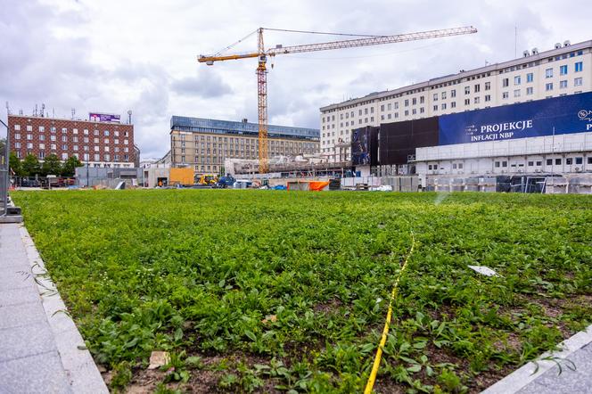 Parking podziemny pod placem Powstańców Warszawy w budowie