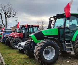 Rolnicy wyszli na ulice. Rozpoczął się protest w woj. łódzkim. „Opłacalność jest na krytycznym poziomie”