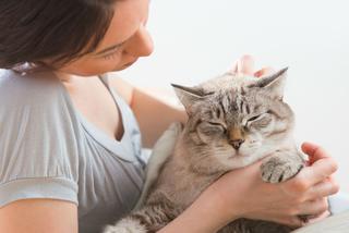 Spadek odporności u kotów - przyczyny i objawy. Jak sobie z nią radzić?
