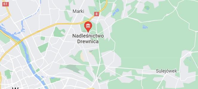 Nadleśnictwo Drewnica