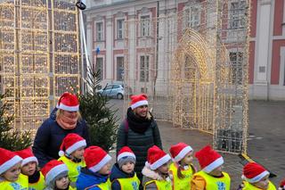 Poznańskie koziołki w świątecznych kubrakach