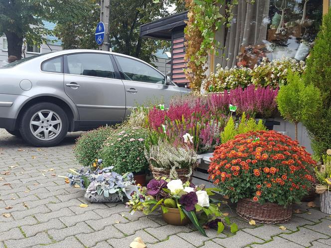 Za kilka dni Wszystkich Świętych. Sprawdziliśmy jakie znicze i wiązanki i w jakiej cenie można kupić w Lesznie 