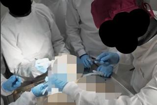 Uniwersytet pokazał ludzkie zwłoki na TikToku. Ogromny skandal