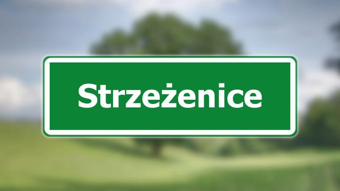 Strzeżenice