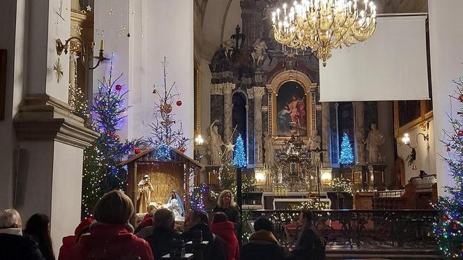 Szopki Bożonarodzeniowe - Stare Miasto Zamość