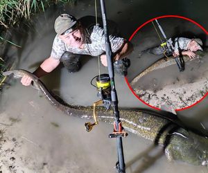 Ale ryba! Tego połowu Panu Jankowi pozazdrości każdy wędkarz! Sum wyższy niż niejeden mężczyzna