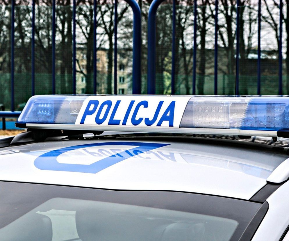 policja