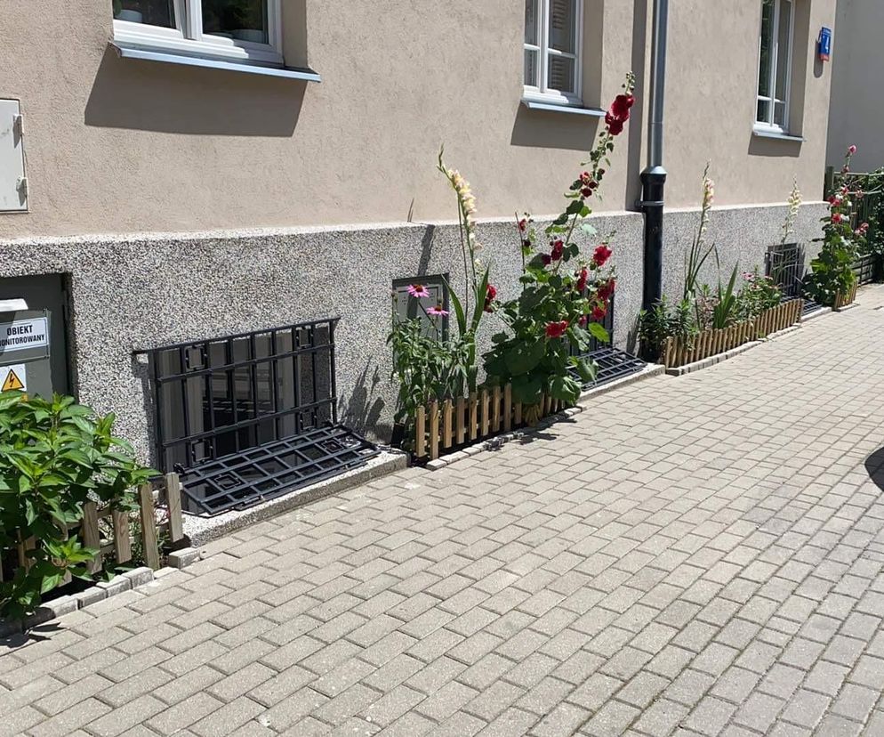 Partyzancki ogródek przed kamienicą. Kara finansowa, ale za co?