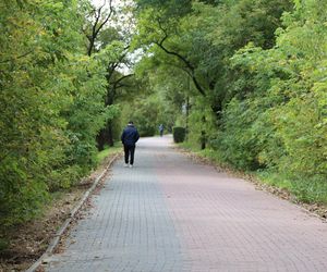 Jesienna odsłona terenów nad Bystrzycą w Lublinie. Tak się prezentuje w październiku