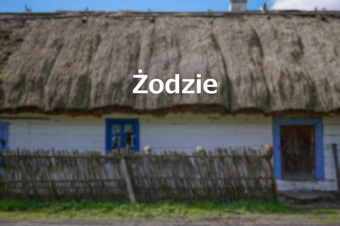 Żodzie