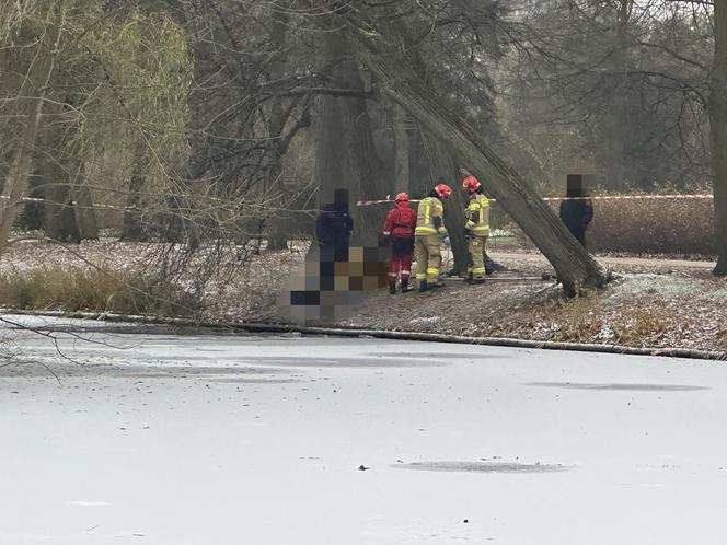 Makabra w Łazienkach Królewskich. Zamarznięte zwłoki w stawie