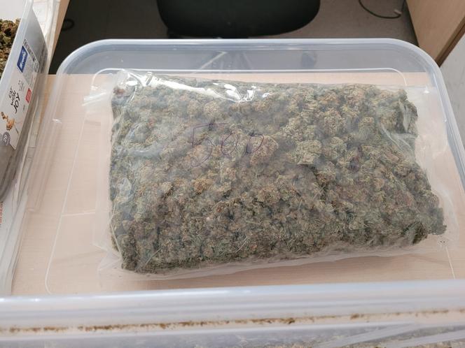 Marihuana