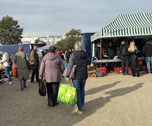 Niedzielny Targ - nowy pchli targ w Poznaniu