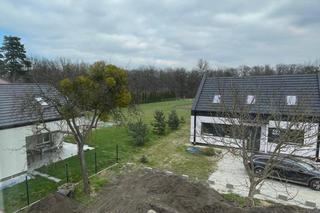 We Wrocławiu powstał Dom dla Skrzywdzonych Zwierząt. To pierwsza taka inicjatywa w Polsce. Sprawdź, jak zostać opiekunem tymczasowym