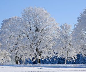 Mróz nie odpuszcza, nawet -18 stopni. Do tego śnieg i jeszcze to  