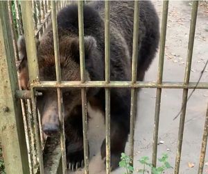 Jak zimą radzą sobie egzotyczne zwierzęta w bydgoskim zoo?