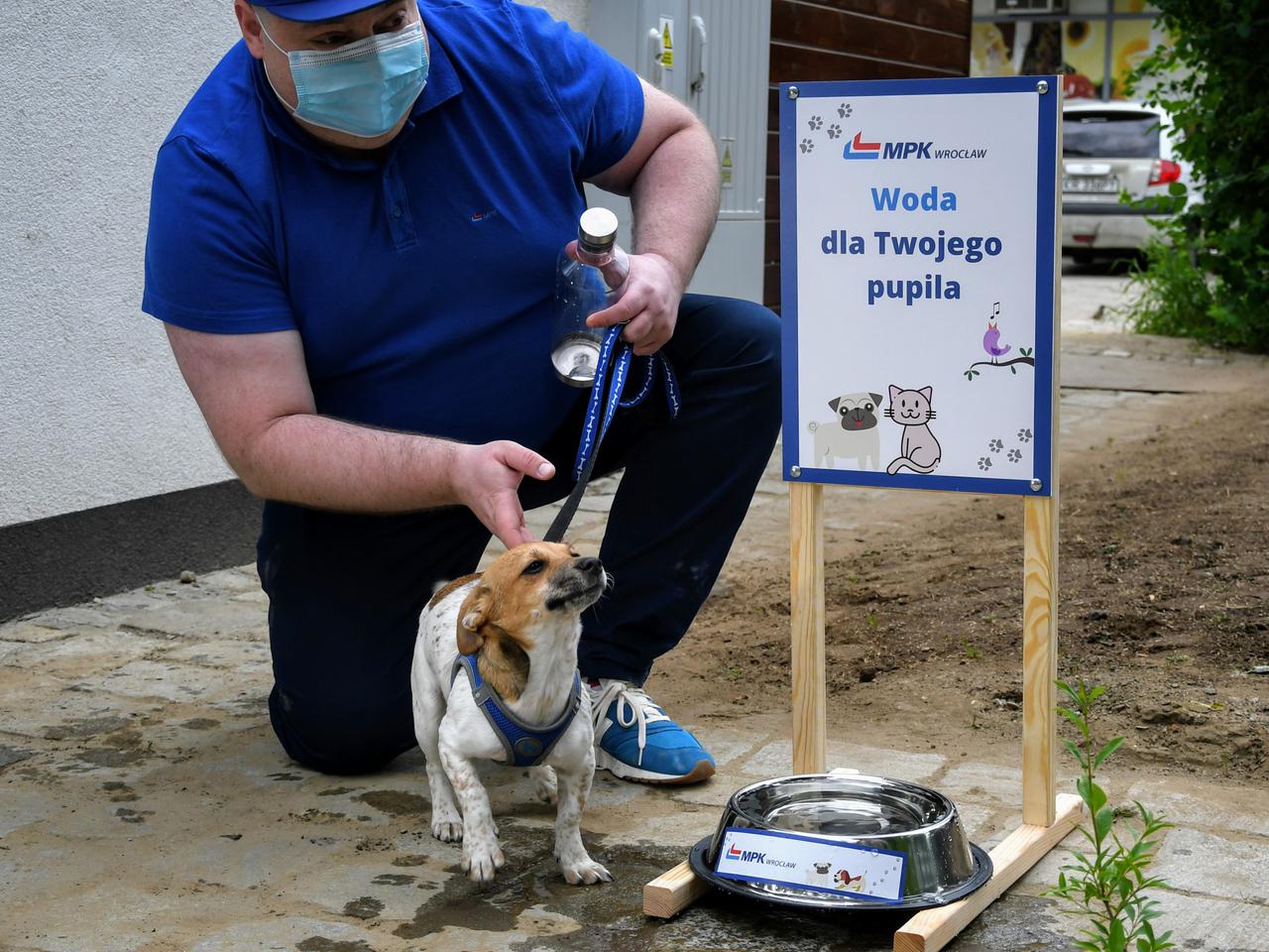 Pies nie kaktus. MPK Wrocław zapewni wodę zwierzętom