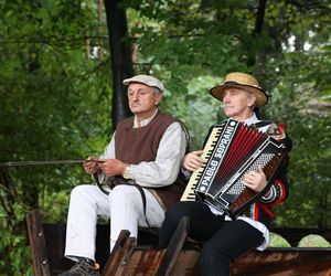 Tak ongiś siekano kapustę w woj. lubelskim. „Obieraczki kapuściane” w Muzeum Wsi Lubelskiej