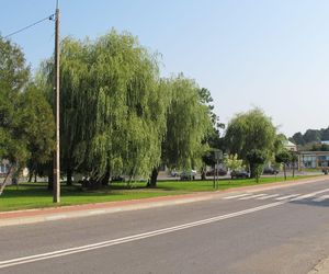 W Sokołach na Podlasiu zaatakowano działaczy PO agitujących na rzecz Trzaskowskiego. Sprawę bada policja