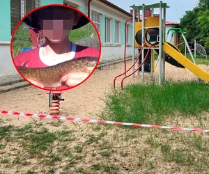 Bochotnica. Tajemnicza śmierć 13-letniego Marcina. Szokujące teorie. Pogryzły go szerszenie