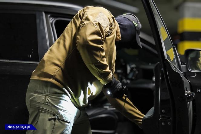 Potężne uderzenie w gang samochodowy. 10 osób w rękach policji