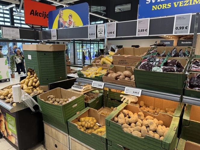 Kilogram najtańszych ziemniaków w litewskim Lidlu kosztował 0,65 euro (2,76 zł)