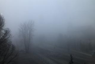 Gęsta mgła spowiła Warszawę. Kiedy w końcu wyjdzie słońce? [Pogoda 01.10.2021]