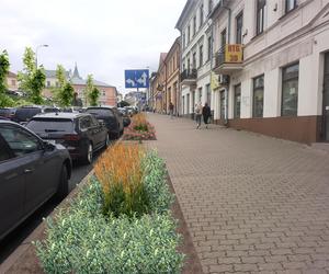 Centrum Lublina ma się zazielenić. Będą też zmiany w organizacji ruchu 