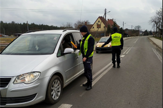 Pijani i naćpani za kierownicą! Dramat na drogach Zielonej Góry