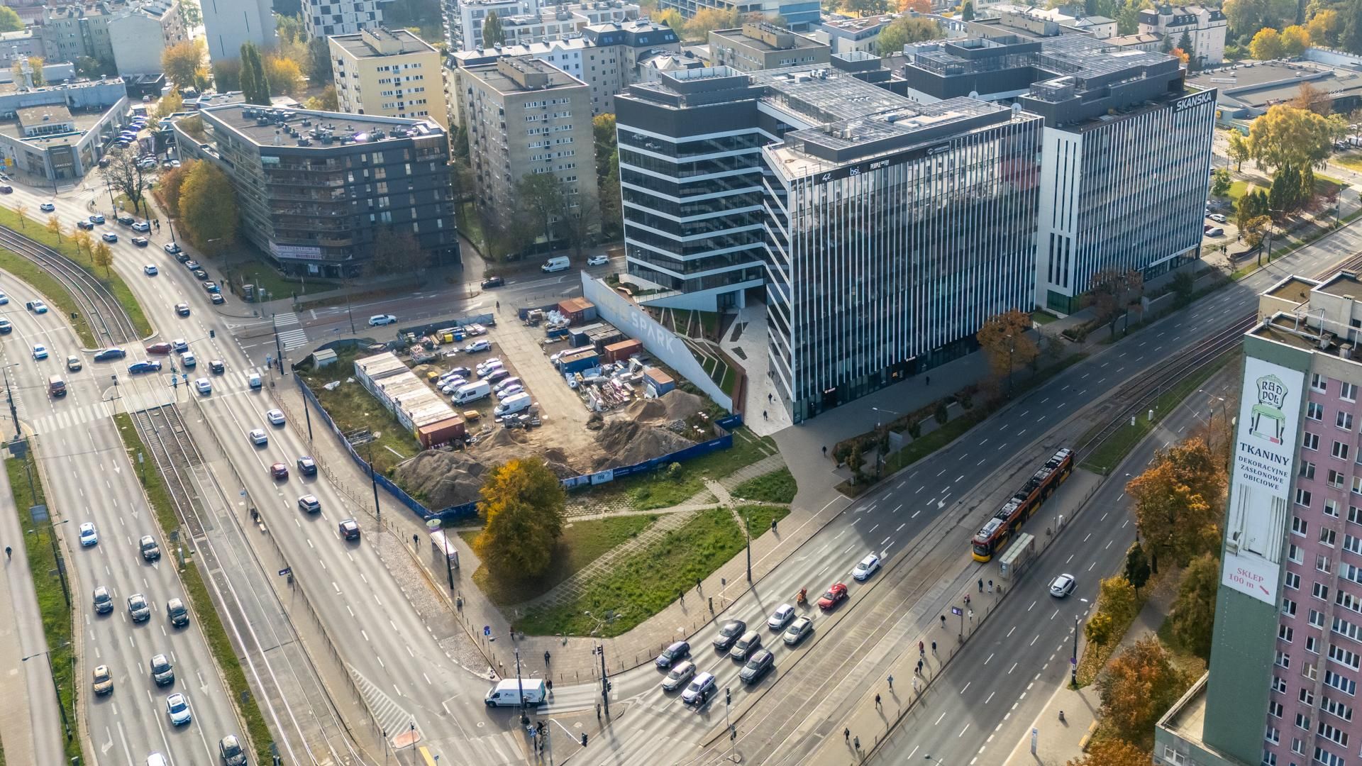 Serek wolski w Warszawie