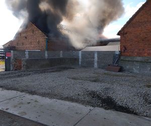 Płonie hala spawalnicza w Czeluścinie niedaleko Gostynia w Wielkopolsce