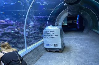 Nietypowa instalacja w łódzkim zoo. Chodzi o zwrócenie uwagi na problem