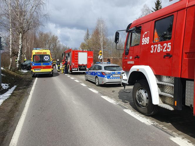 Kraksa pod Tarnowem. Wypadł z jezdni i rozbił peugeota o przydrożne drzewo