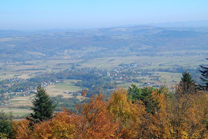 Wieża widokowa na górze Liwocz