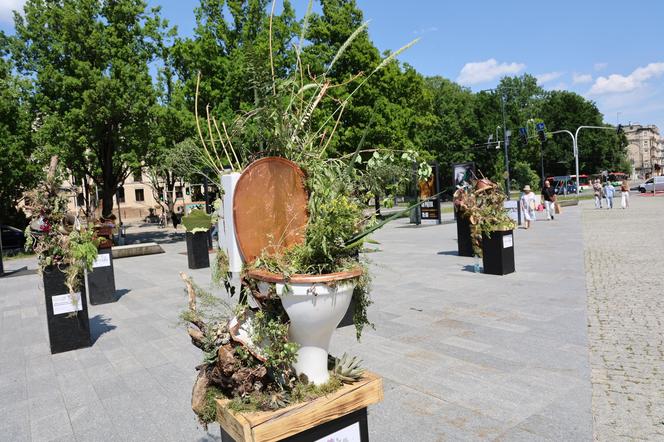 Weekend z florystyką w Lublinie. Zobacz imponujące roślinne instalacje w centrum miasta!