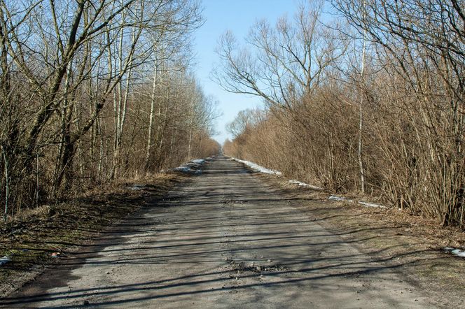 Biebrzański Park Narodowy