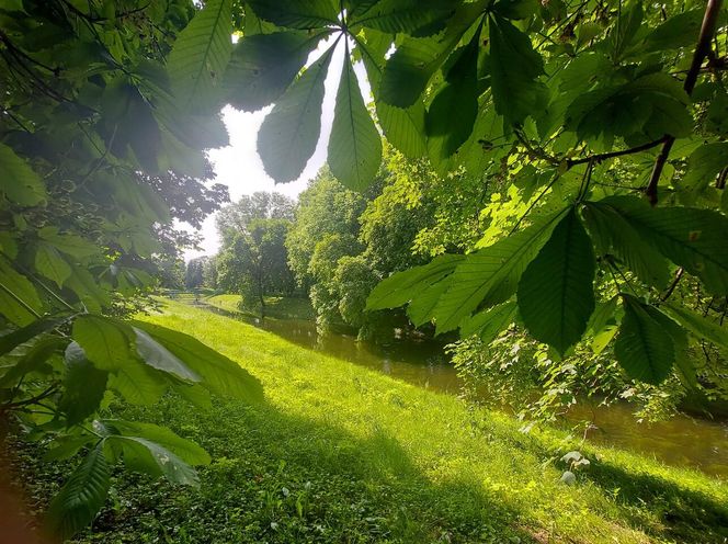 Park Miejski w Zamościu