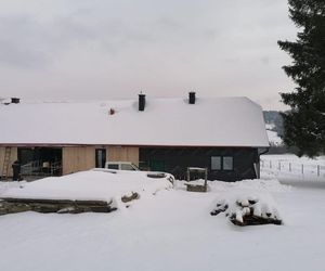 Remont chyży łemkowskiej w Hańczowej